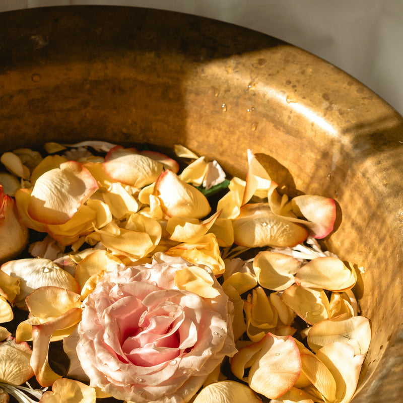 Rose - Fresh Cut Roses | Candle 13oz